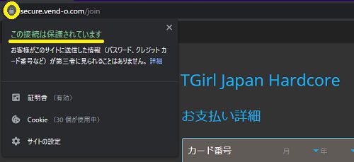 TGirl Japan Hardcoreの決済ページはSSL化されている