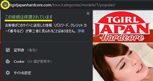 TGirl Japan HardcoreのトップページはSSL化されている