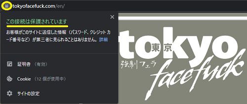 tokyo face fuck【東京強制フェラ】のトップページはSSL化されている