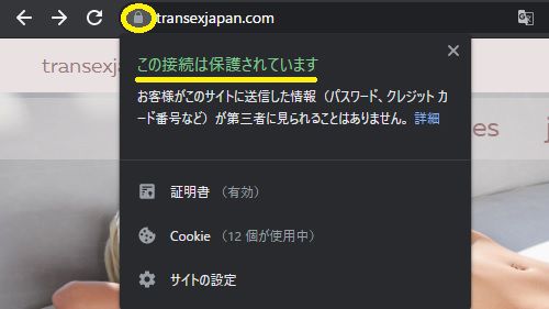 transexjapan.comの公式ページはSSL化されている